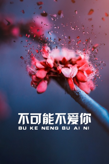 不可能不爱你封面图