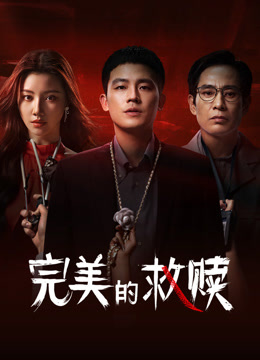 完美的救赎封面图