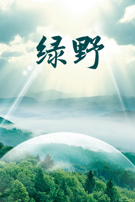 海报背景