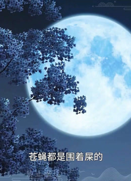 海报背景