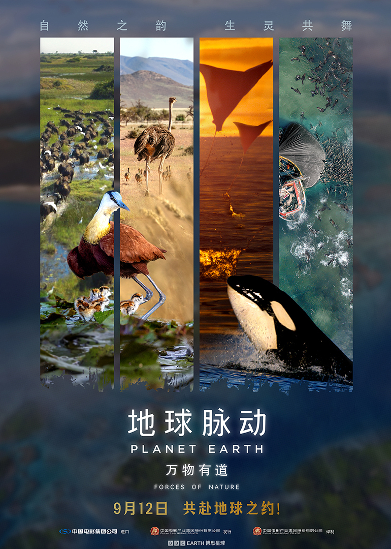 海报背景