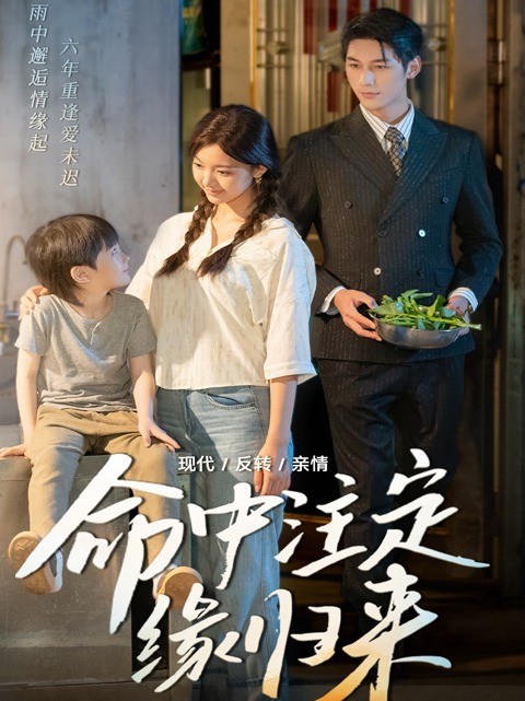 命中注定缘归来封面图