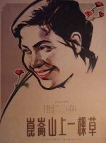 昆仑山上一棵草封面图