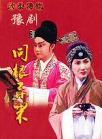 同根异果封面图