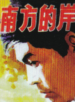 南方的岸封面图