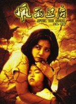 风雨过后封面图