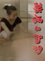 美丽的梦想封面图