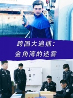跨国大追捕：金角湾的迷雾封面图