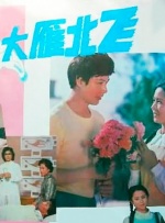 大雁北飞封面图