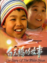 白天鹅的故事封面图