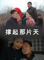 撑起那片天封面图