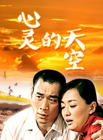 心灵的天空封面图