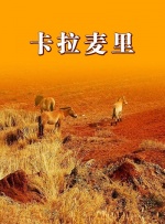 卡拉麦里封面图