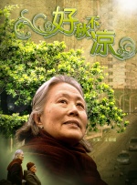 好秋不凉封面图