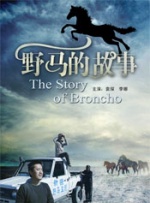 野马的故事封面图