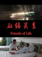 血缘关系封面图