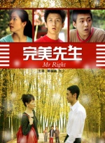 完美先生封面图