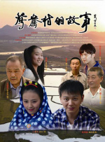 鸳鸯村的故事封面图