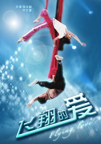 飞翔的爱封面图