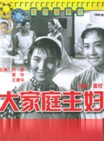 大家庭主妇封面图