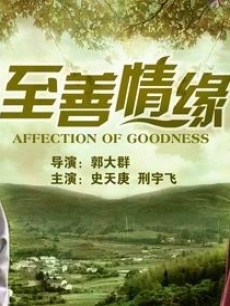 至善情缘封面图
