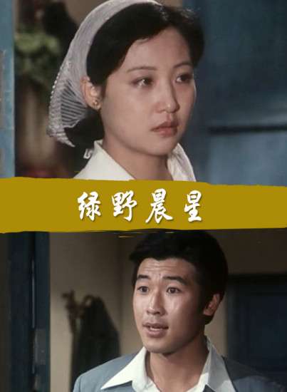 绿野晨星封面图