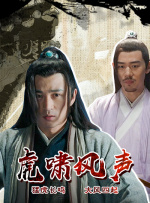 虎啸风声封面图