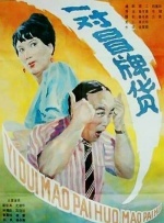 一对冒牌货封面图