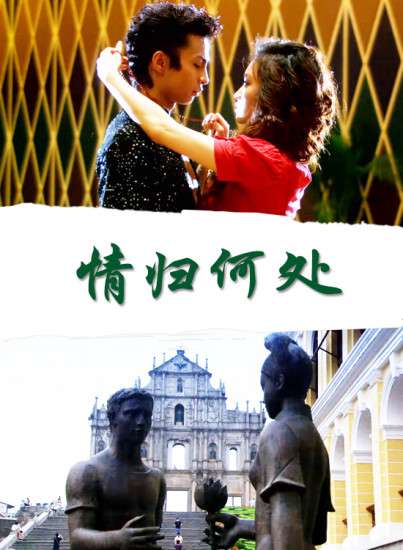 情归何处封面图
