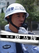 生命斑马线封面图