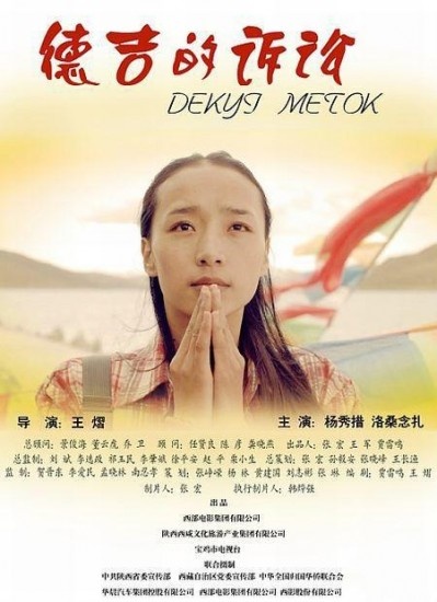 德吉的诉讼封面图