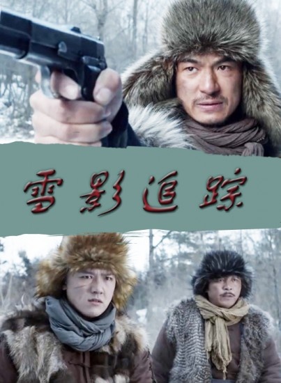 雪影追踪封面图