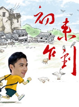 初来乍到封面图