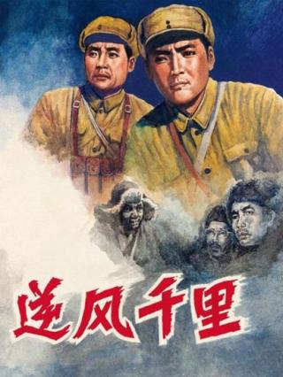 逆风千里封面图