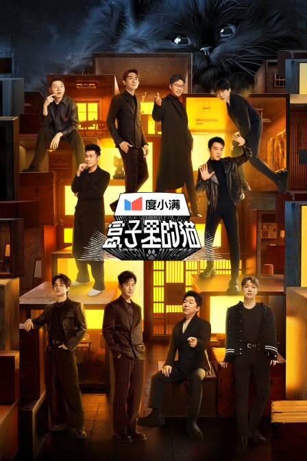 盒子里的猫封面图