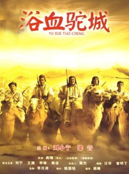 浴血驼城封面图