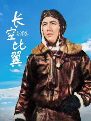 长空比翼封面图