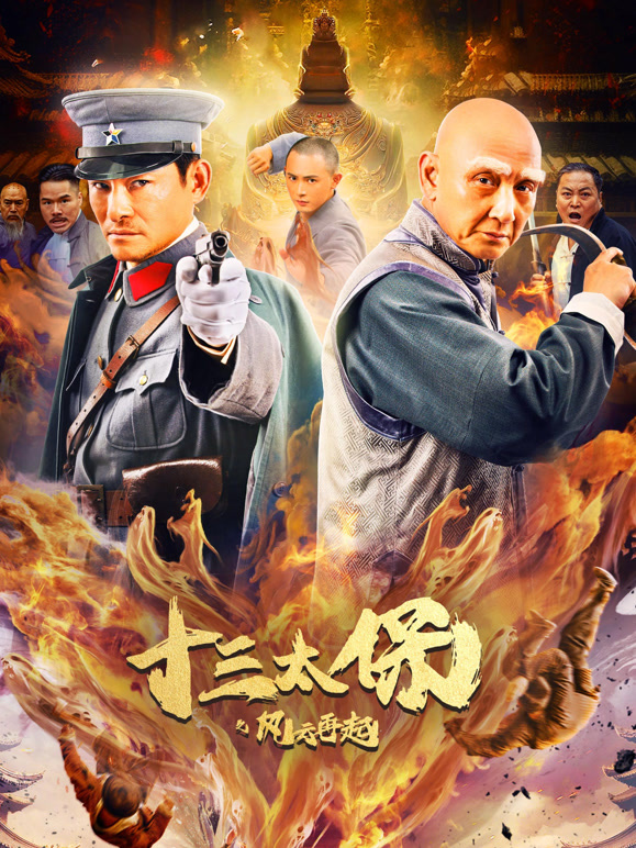 十三太保之风云再起封面图