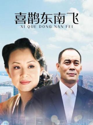 喜鹊东南飞封面图