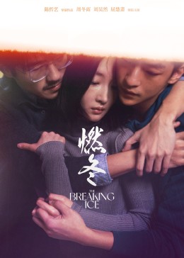 燃冬封面图