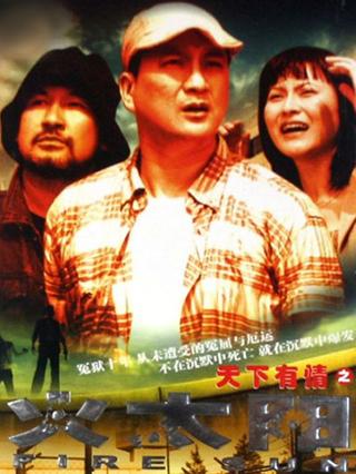 天下有情之火太阳封面图