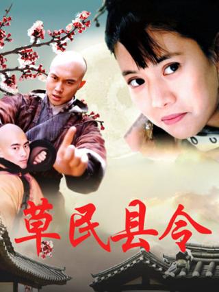 草民县令封面图