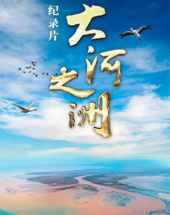 大河之洲封面图