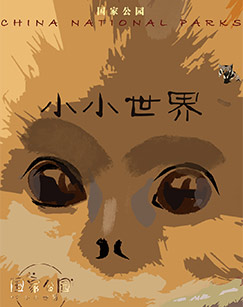 国家公园·小小世界封面图