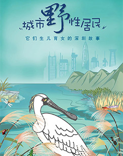 城市野性居民封面图