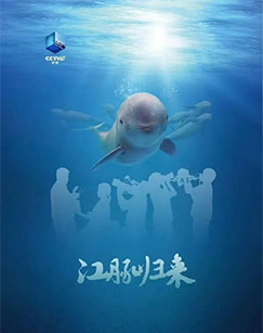 江豚归来封面图