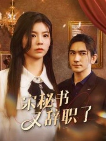 宋秘书又辞职了封面图