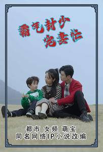 霸气封少宠妻忙封面图