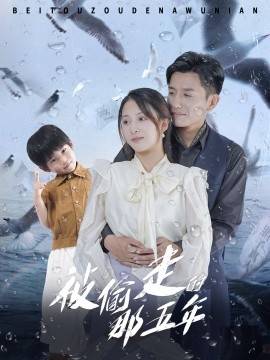 被偷走的那五年封面图