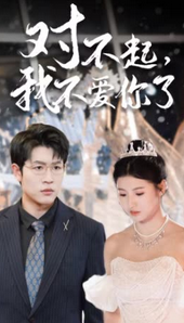 对不起，我不爱你了封面图